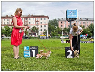 click for enlarge 792 X 600 185.5 Kb picture