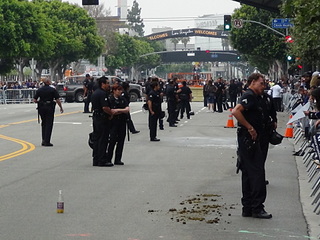 click for enlarge 1920 X 1440 621.8 Kb picture