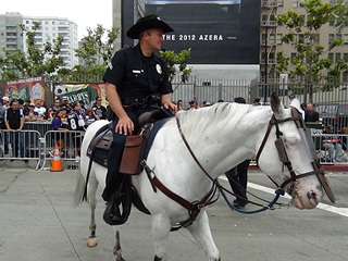 click for enlarge 1920 X 1440 658.7 Kb picture