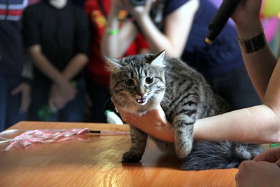 click for enlarge 1024 X 683 310.6 Kb picture