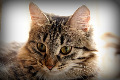 click for enlarge 1024 X 683 296.8 Kb picture