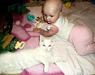click for enlarge 1280 X 1005 219.5 Kb picture
