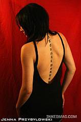 click for enlarge 333 X 500 15.9 Kb picture