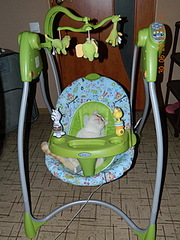 click for enlarge 240 X 320  64.2 Kb picture