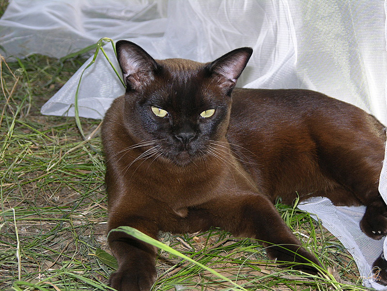 click for enlarge 850 X 638 611.2 Kb picture