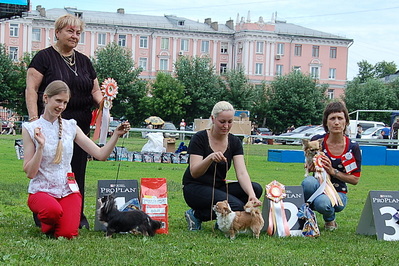 click for enlarge 1315 X 877 507.3 Kb picture