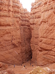 click for enlarge 1920 X 2560 561.0 Kb picture