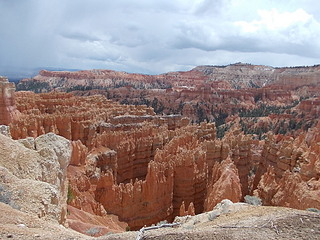 click for enlarge 1920 X 1440 784.5 Kb picture