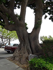 click for enlarge 1584 X 2112 702.1 Kb picture