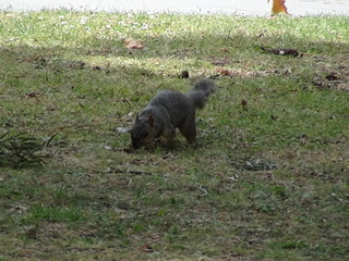 click for enlarge 1920 X 1440 714.0 Kb picture