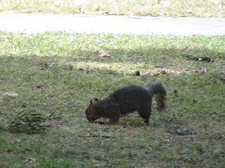 click for enlarge 1920 X 1440 630.1 Kb picture