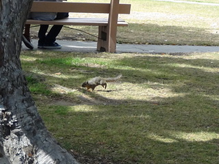 click for enlarge 1920 X 1440 662.3 Kb picture