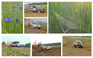 click for enlarge 1920 X 1199 289.8 Kb picture