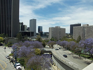 click for enlarge 1920 X 1440 700.8 Kb picture