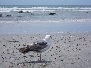 click for enlarge 1920 X 1440 659.2 Kb picture