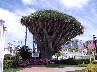 click for enlarge 1920 X 1440 684.3 Kb picture