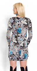 click for enlarge 697 X 1323 242.5 Kb picture