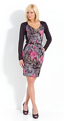 click for enlarge 697 X 1323 116.1 Kb picture