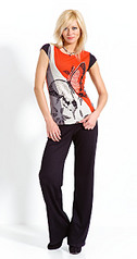 click for enlarge 697 X 1323 115.0 Kb picture