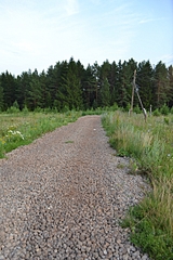 click for enlarge 768 X 1152 737.7 Kb picture