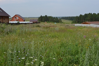 click for enlarge 1152 X 768 753.4 Kb picture