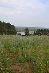 click for enlarge 768 X 1152 691.7 Kb picture