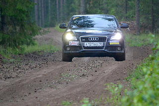 click for enlarge 1200 X 800 697.2 Kb picture