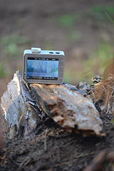 click for enlarge 800 X 1200 573.6 Kb picture