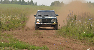 click for enlarge 1500 X 800 960.2 Kb picture