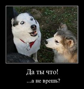 click for enlarge 661 X 700  46.4 Kb picture