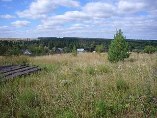 click for enlarge 448 X 336 34.4 Kb picture