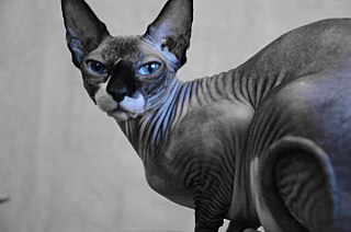 click for enlarge 1280 X 848 108.4 Kb picture