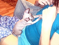 click for enlarge 807 X 605 150.9 Kb picture