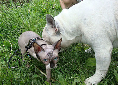 click for enlarge 640 X 463 101.7 Kb picture