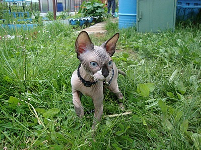 click for enlarge 807 X 605 229.5 Kb picture