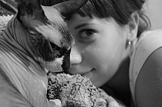 click for enlarge 640 X 424 35.2 Kb picture