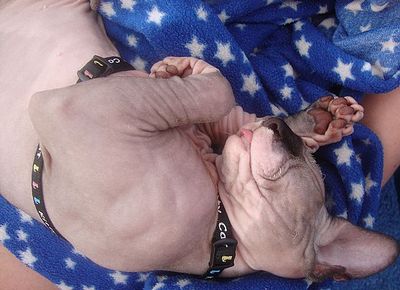 click for enlarge 640 X 464  49.6 Kb picture