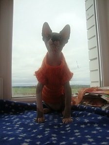 click for enlarge 605 X 807  86.8 Kb picture