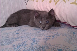 click for enlarge 1920 X 1280 539.1 Kb picture