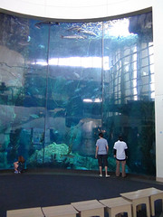 click for enlarge 1188 X 1584 200.1 Kb picture