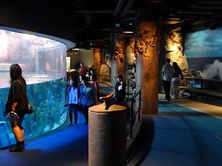 click for enlarge 1920 X 1440 582.0 Kb picture