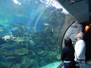 click for enlarge 1920 X 1440 612.5 Kb picture