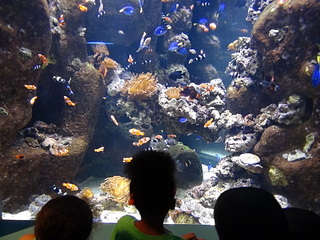 click for enlarge 1920 X 1440 682.7 Kb picture