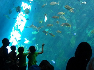 click for enlarge 1920 X 1440 501.1 Kb picture