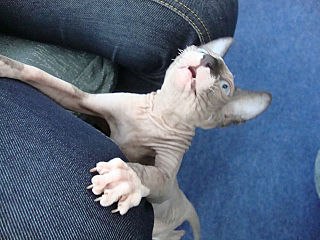 click for enlarge 640 X 480  59.1 Kb picture