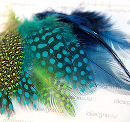 click for enlarge 401 X 378 89.8 Kb picture