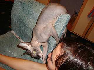 click for enlarge 640 X 480 76.1 Kb picture