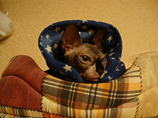 click for enlarge 640 X 480 72.9 Kb picture