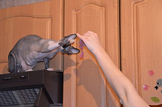 click for enlarge 1280 X 848 130.1 Kb picture