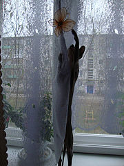 click for enlarge 360 X 480 40.3 Kb picture